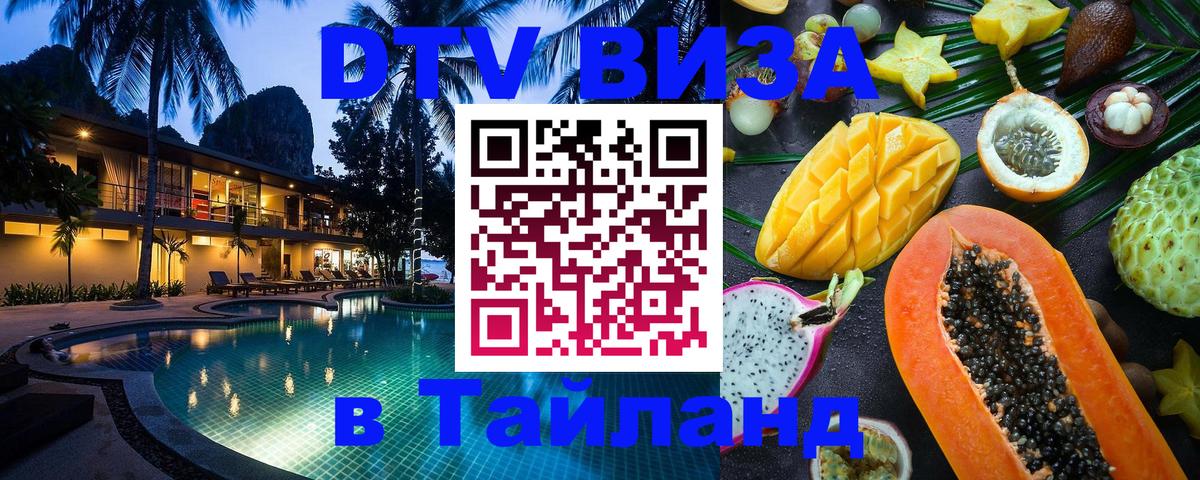 Сколько стоит DTV виза — актуальные цены, оформление даже без документов - Махачкала  21.11.2025 